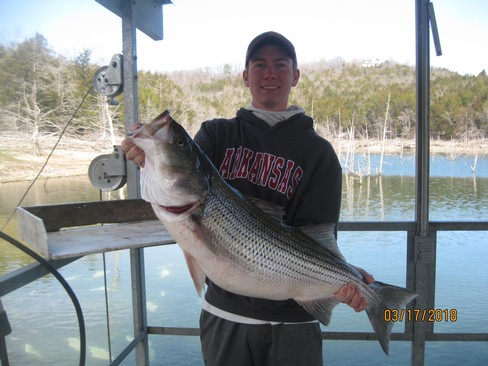 Nice Striped Bass